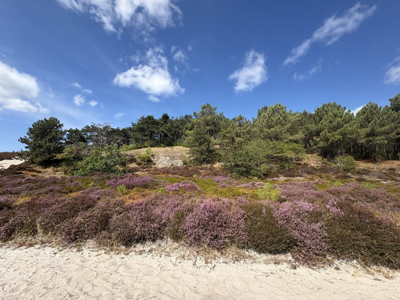 Heide-Schoorl